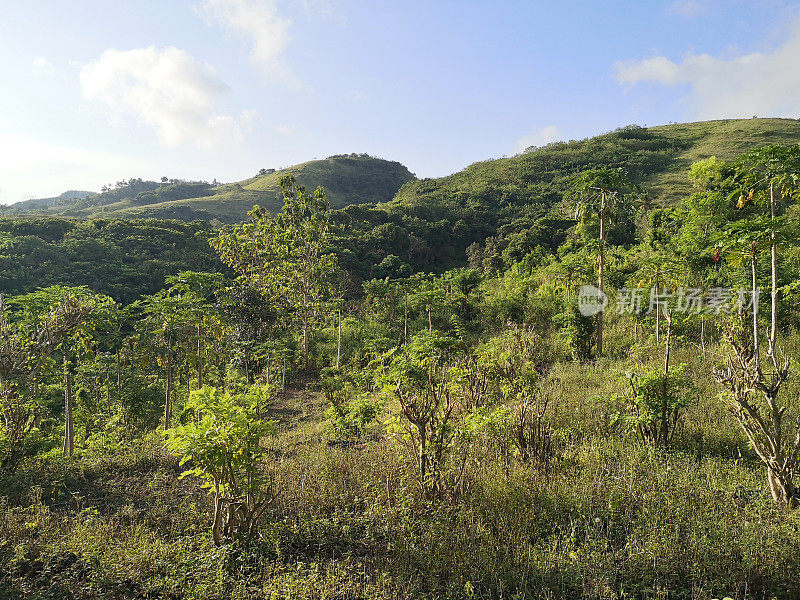 Teletubbies Hill, Nusa Penida，印度尼西亚巴厘岛